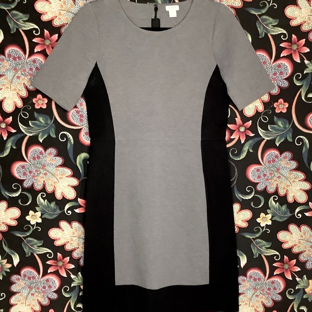 J. Crew Color Sculpting Dress